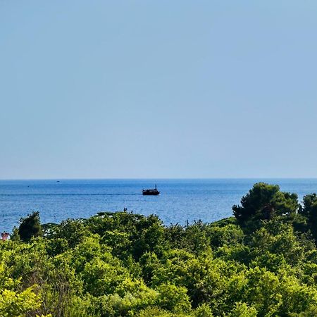 Apartman Del Mar Leilighet Poreč Eksteriør bilde